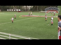 Preview Video #1