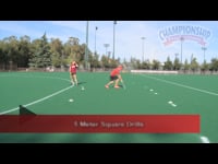 Preview Video #1