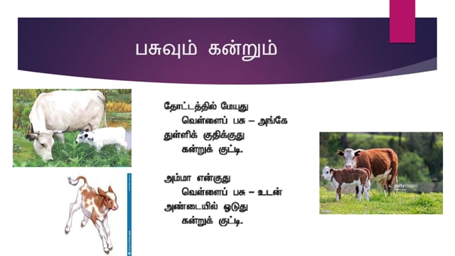 Pasuvum Kandrum