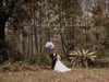 March-in Trailer (Panoramic) at Grand Hyatt Singapore with Wei Tien & Xavier by AllureWeddings