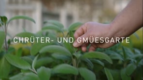 Firmenvideo DE