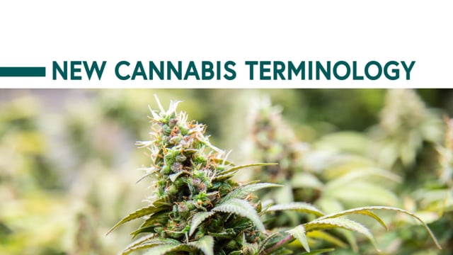 New Cannabis Terminology