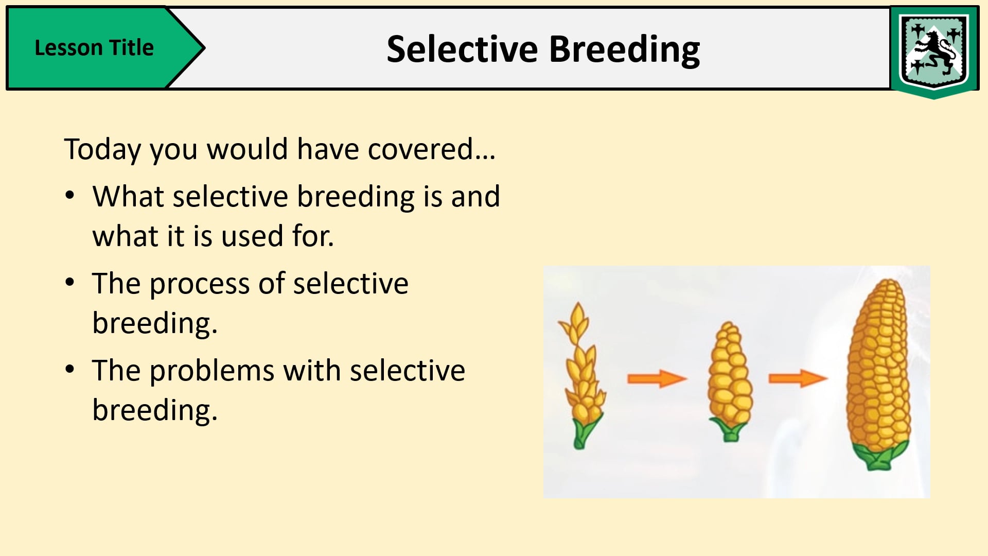 Inheritance, Variation and Evolution- Lesson 18- Selective Breeding on ...
