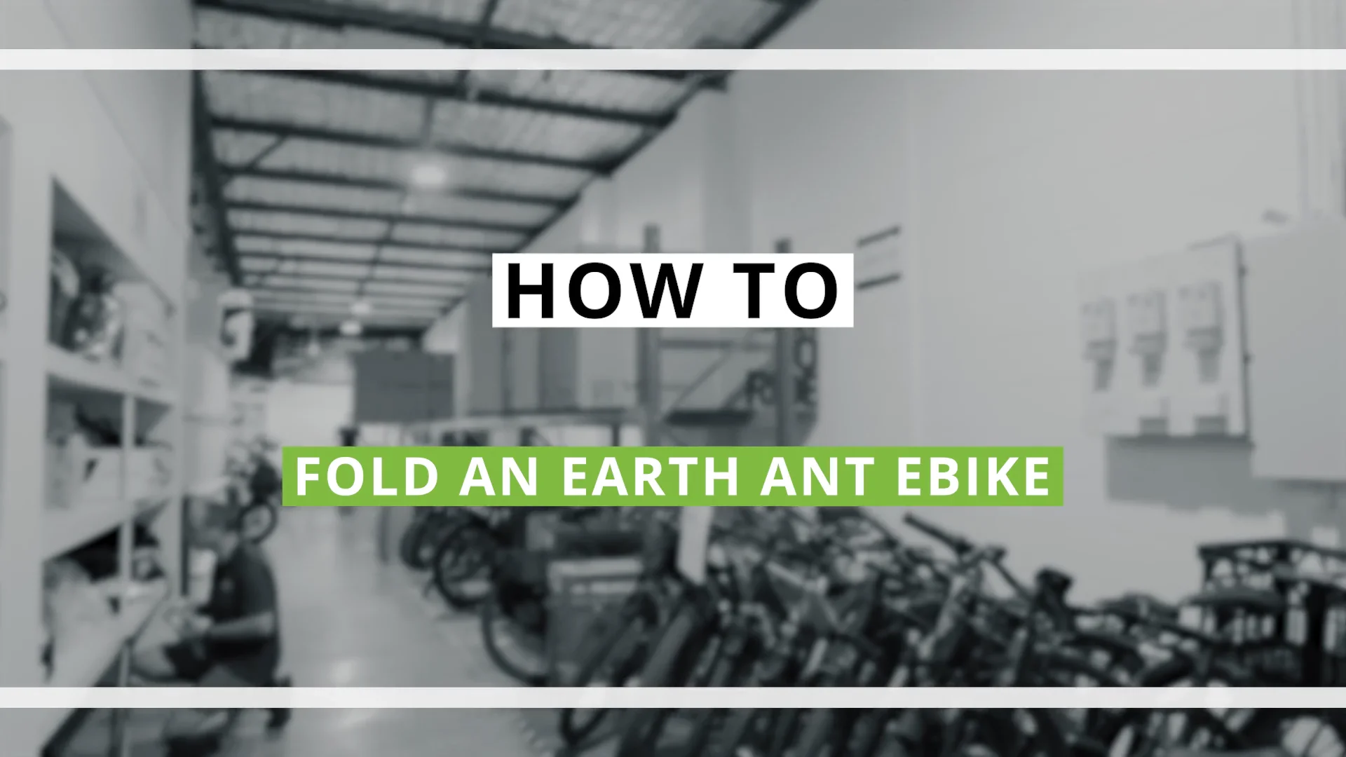 Earth ant hot sale ebike review