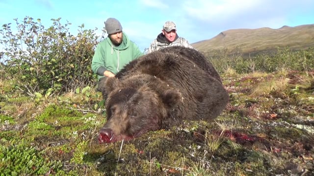 Alaska Southern Peninsula Brown Bear Hunt w/ Nathan, Part 2
