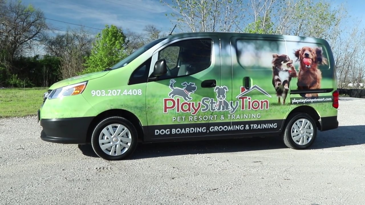 playstation pet resort boarding