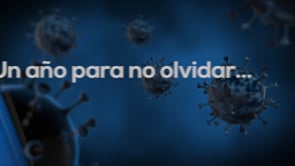Memoria de actividades FER 2020