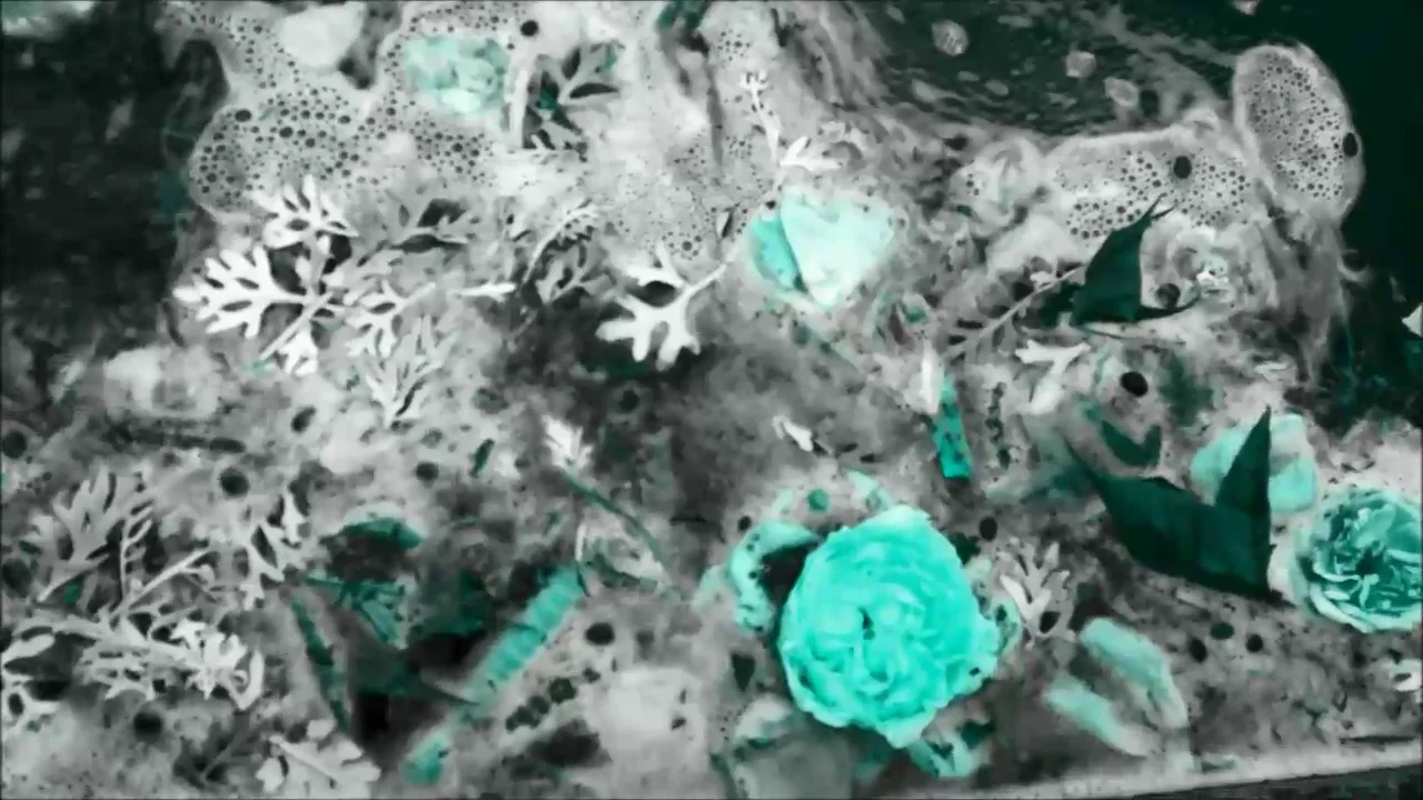Unknown tale on Vimeo