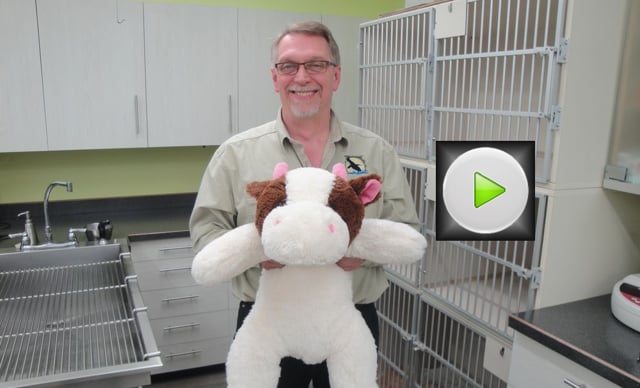 How to Manage a Seizure