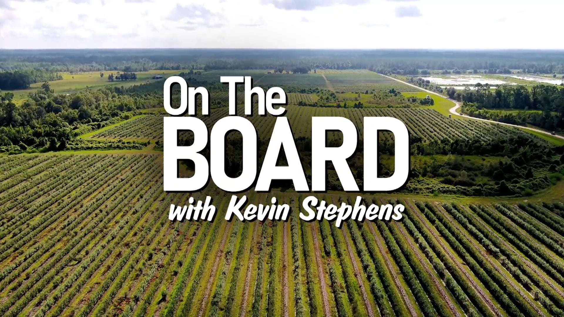 On the Board with Kevin Stephens