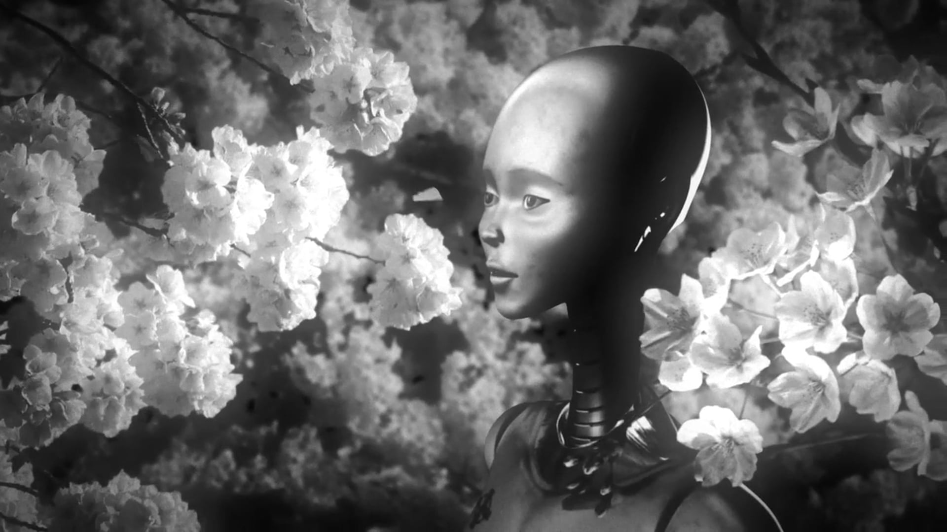 David Lynch - Good Day Today