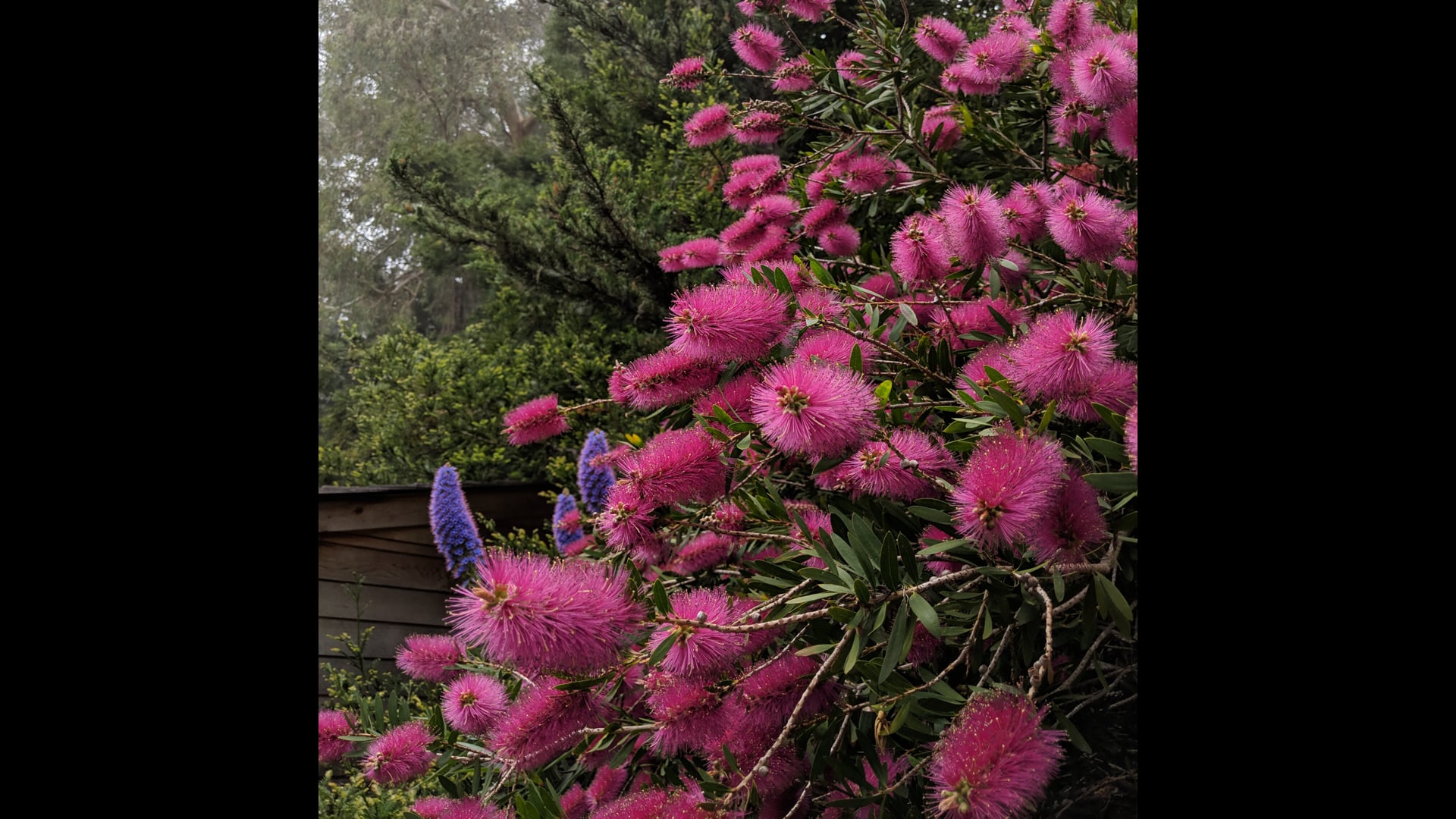 2021 June 10: The Dukkha of Not Having