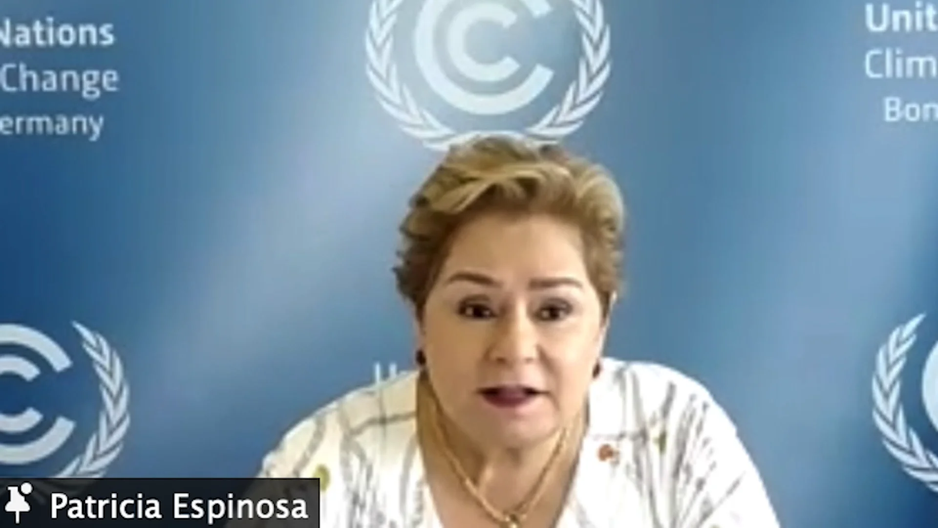 Patricia Espinosa, UNFCCC Executive Secretary