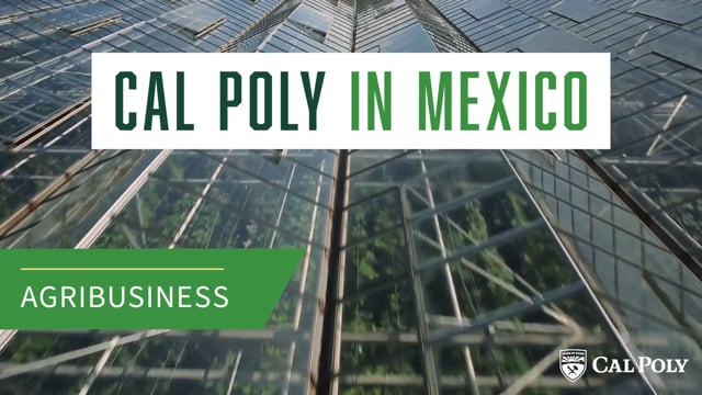Cal Poly in Mexico: Agribusiness