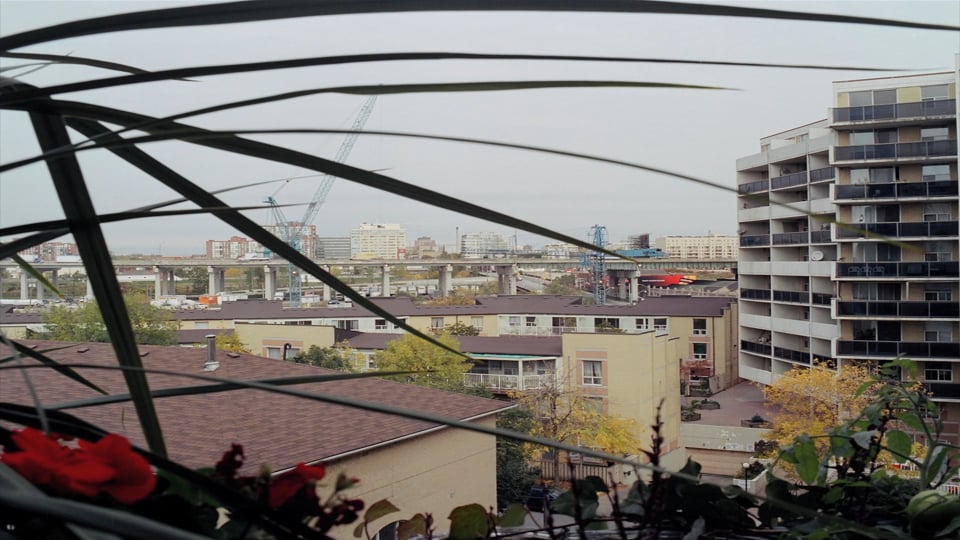 Views From Home: Facing North