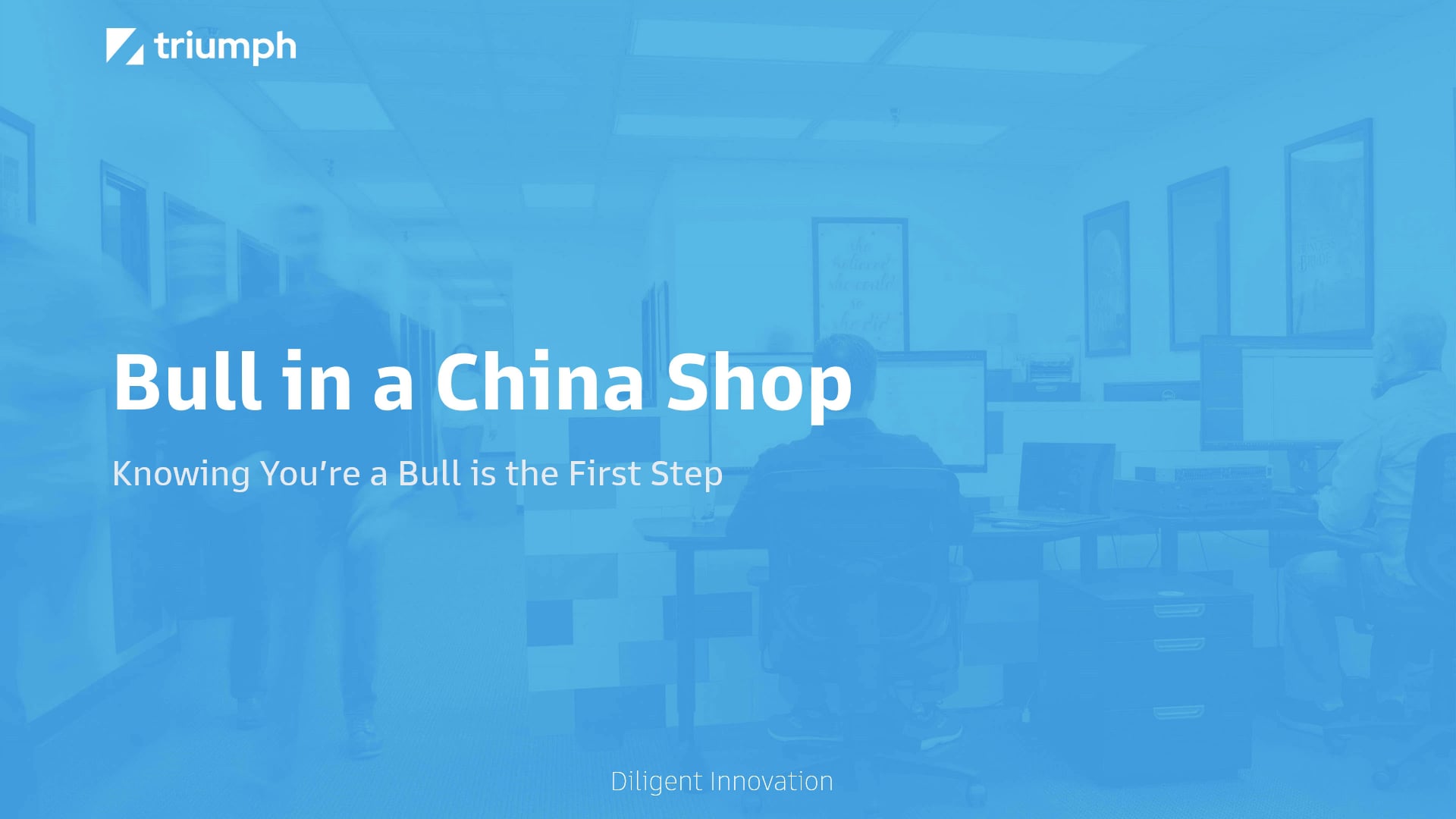 Bull in a China Shop