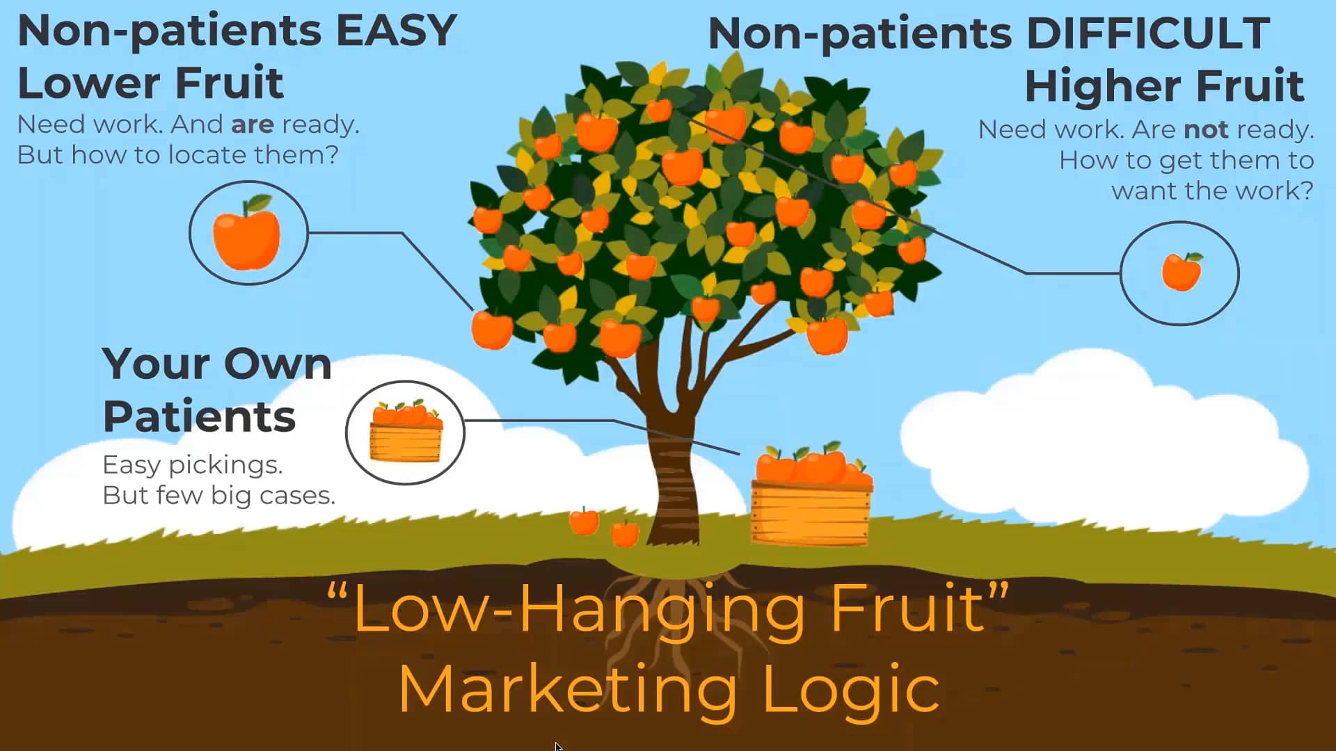 LowHanging Fruit Marketing on Vimeo