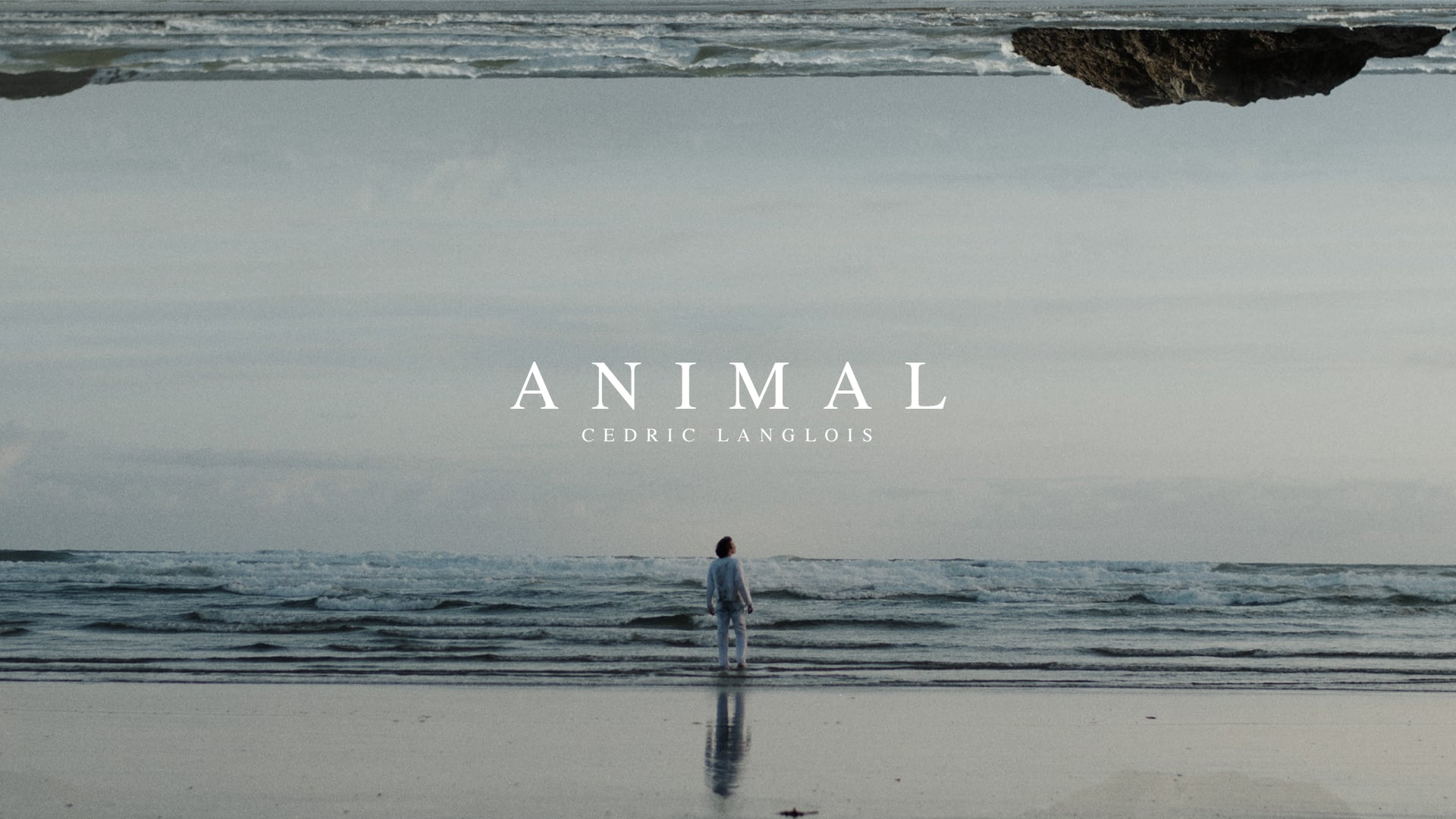 Cedric Langlois - Animal