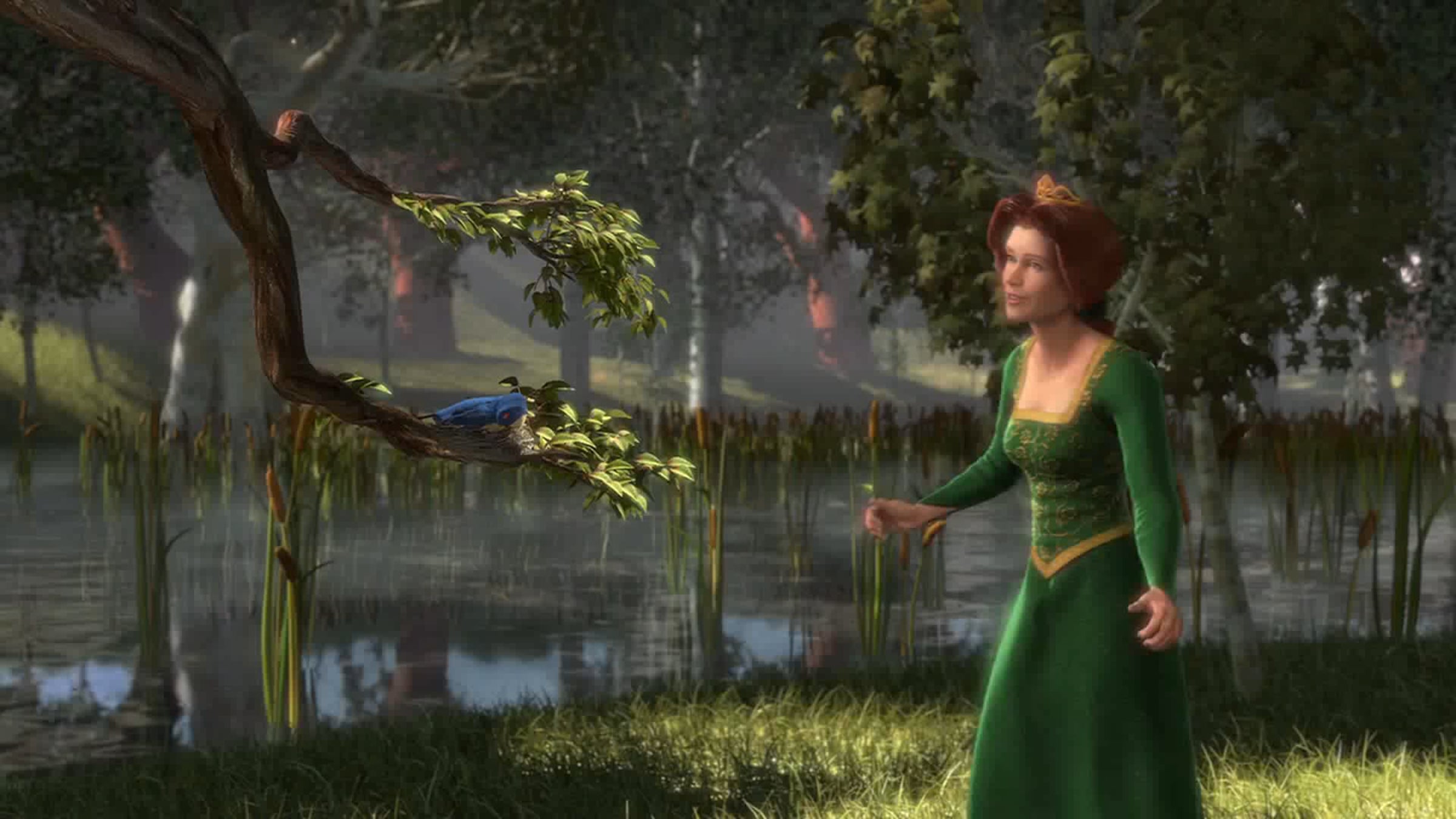 Shrek - Exploding bird.mp4 | Videos & Movies on Vimeo