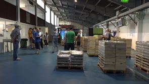 Una visita a la subhasta del peix blau estrena les activitats d'estiu del MARAM