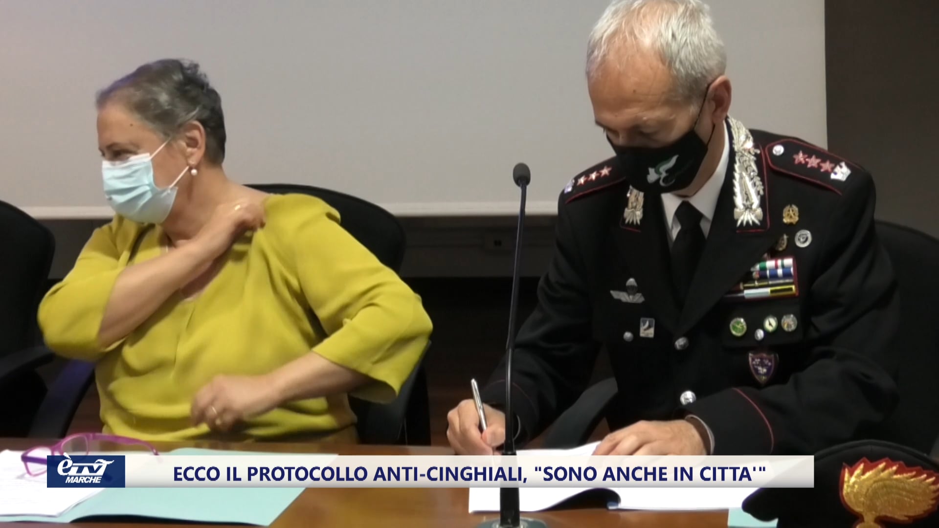 Cinghiali fuori controllo: protocollo d’intesa tra Regione, Anci e associazioni agricole e venatorie – VIDEO