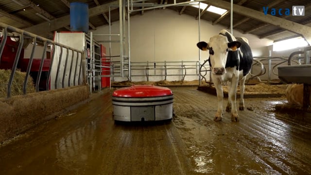 Ametsleku, á vangarda na limpeza con Lely