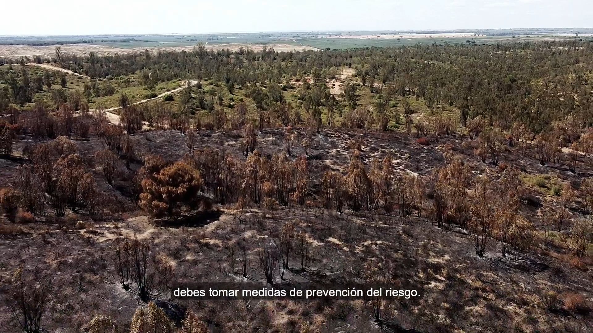 Prevención del riesgo - Infoca