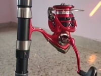 Daiwa Revros RR LT 4000, 5000-CXH Spinning Reel | Cabral Outdoors