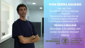 Abordaje a la diáfisis del radio mediante incisión lateral