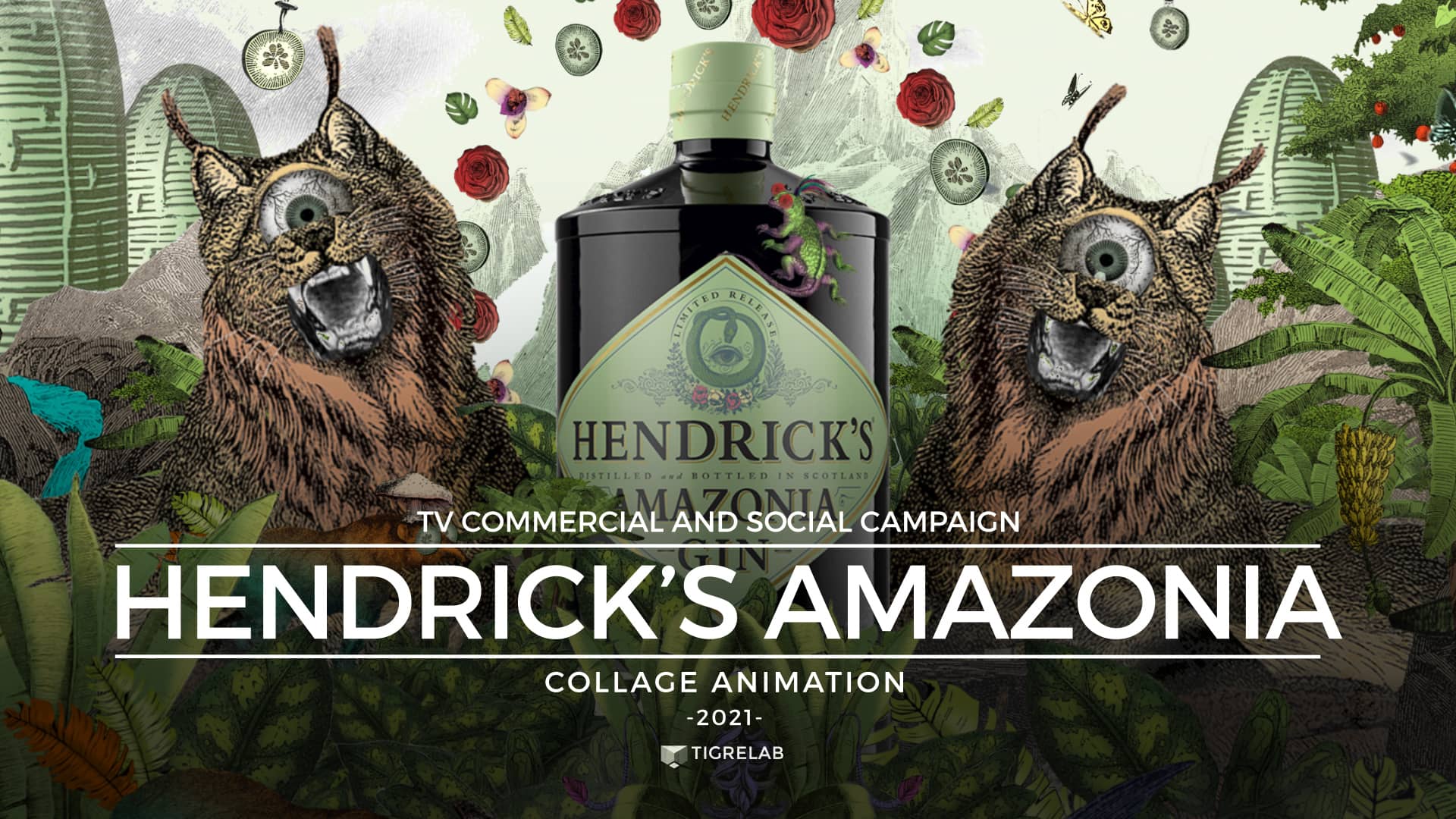 Hendrick's Amazonia Collage Animation on Vimeo