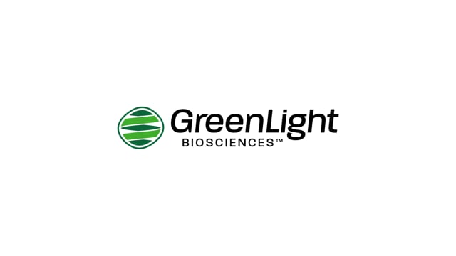 GreenLight_Bees_FINAL-HD 1080p