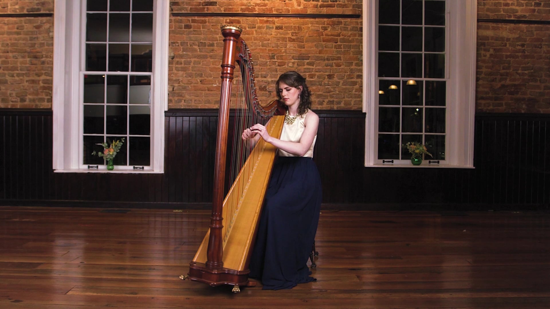 Promotional video thumbnail 1 for Hummingbird Harmonies
