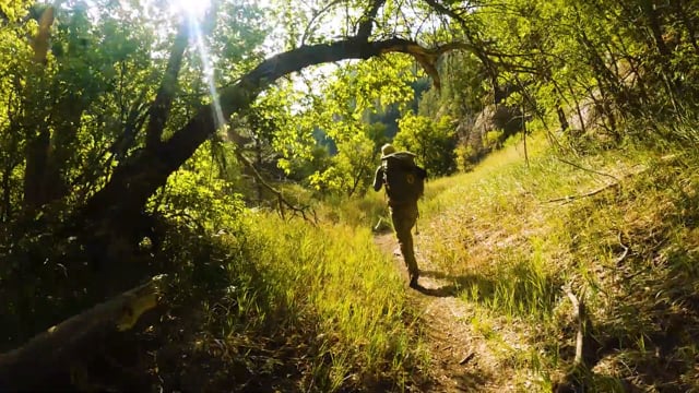 AZ Trail to Lake Mary Outdoor Adventure