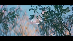 Wildfire | 2019-2021 DP Reel