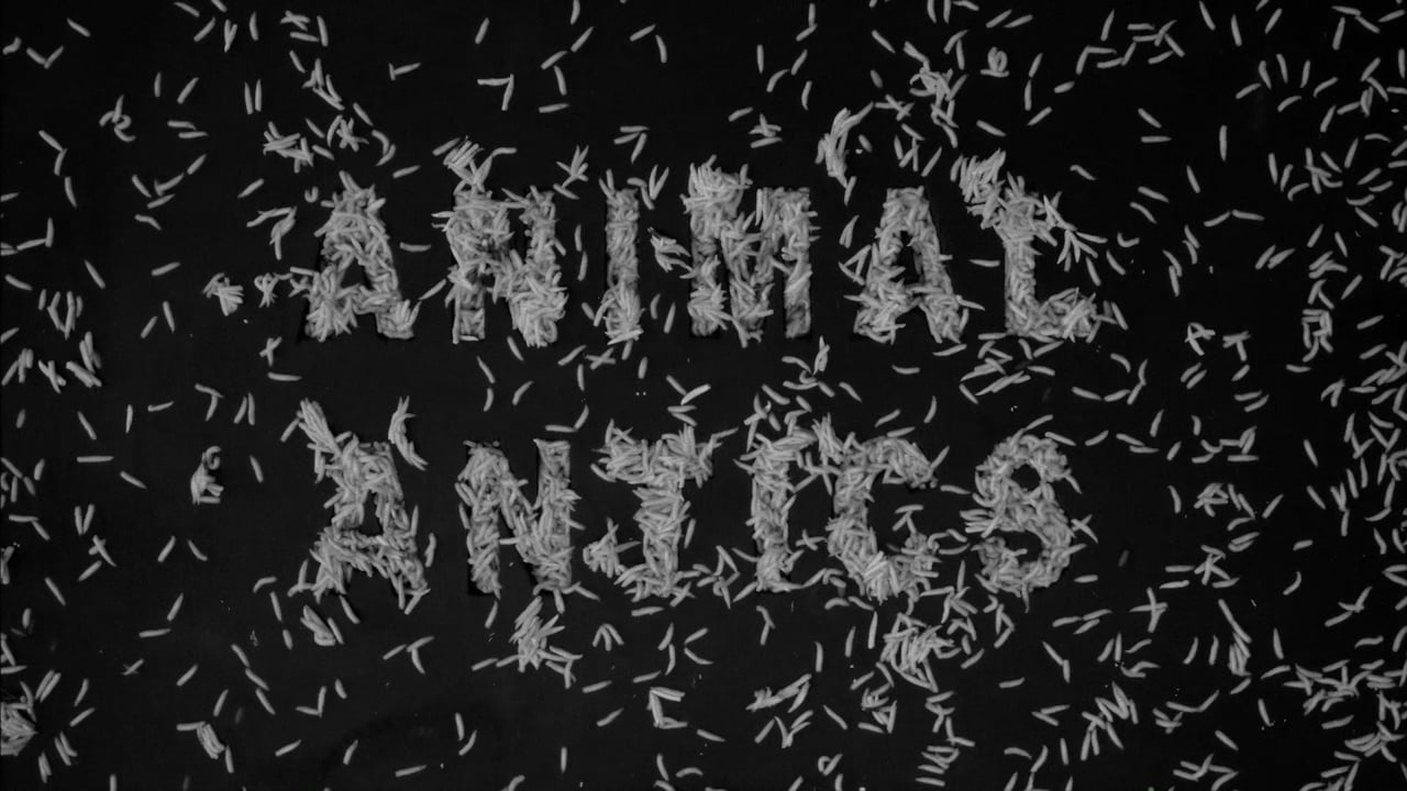 Patrick Goddard, Animal Antics, 2021, Trailer 4