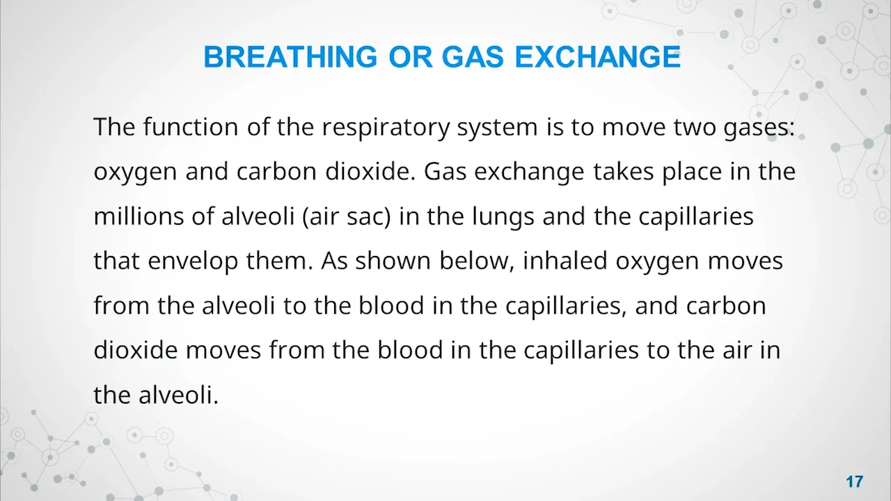 basic-science-jss1-respiration-1-m4v-on-vimeo