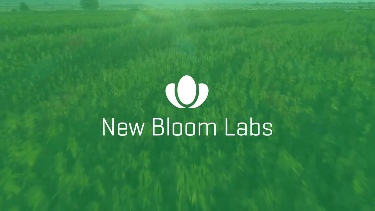 New Bloom Labs Introduction.mp4 on Vimeo