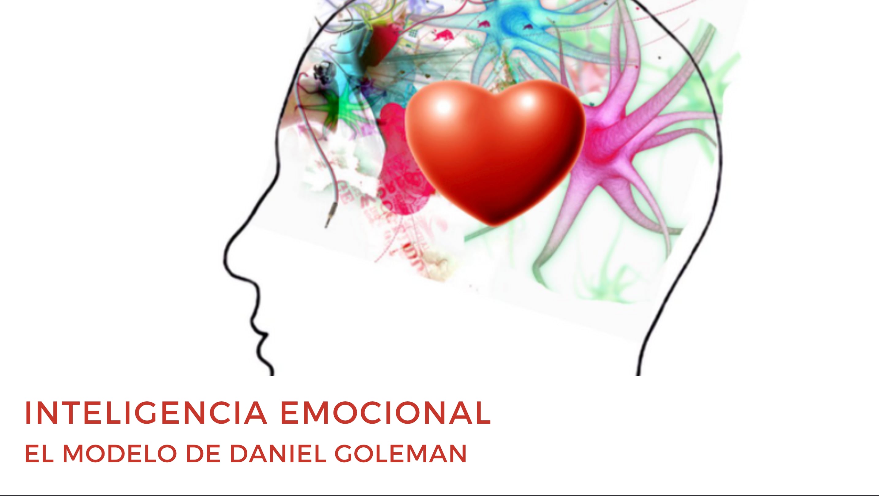 El Modelo De Inteligencia Emocional De Daniel Goleman Mp4 On Vimeo