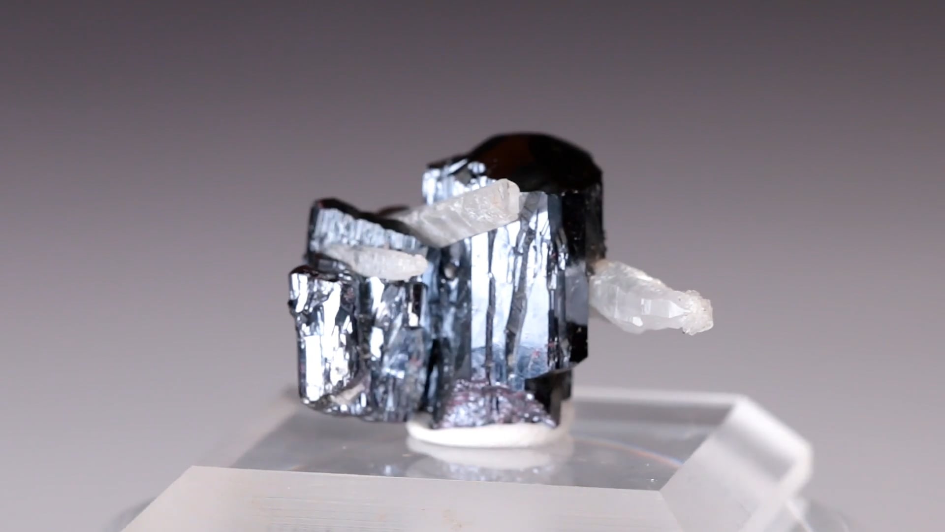 Vimeo Thumbnail