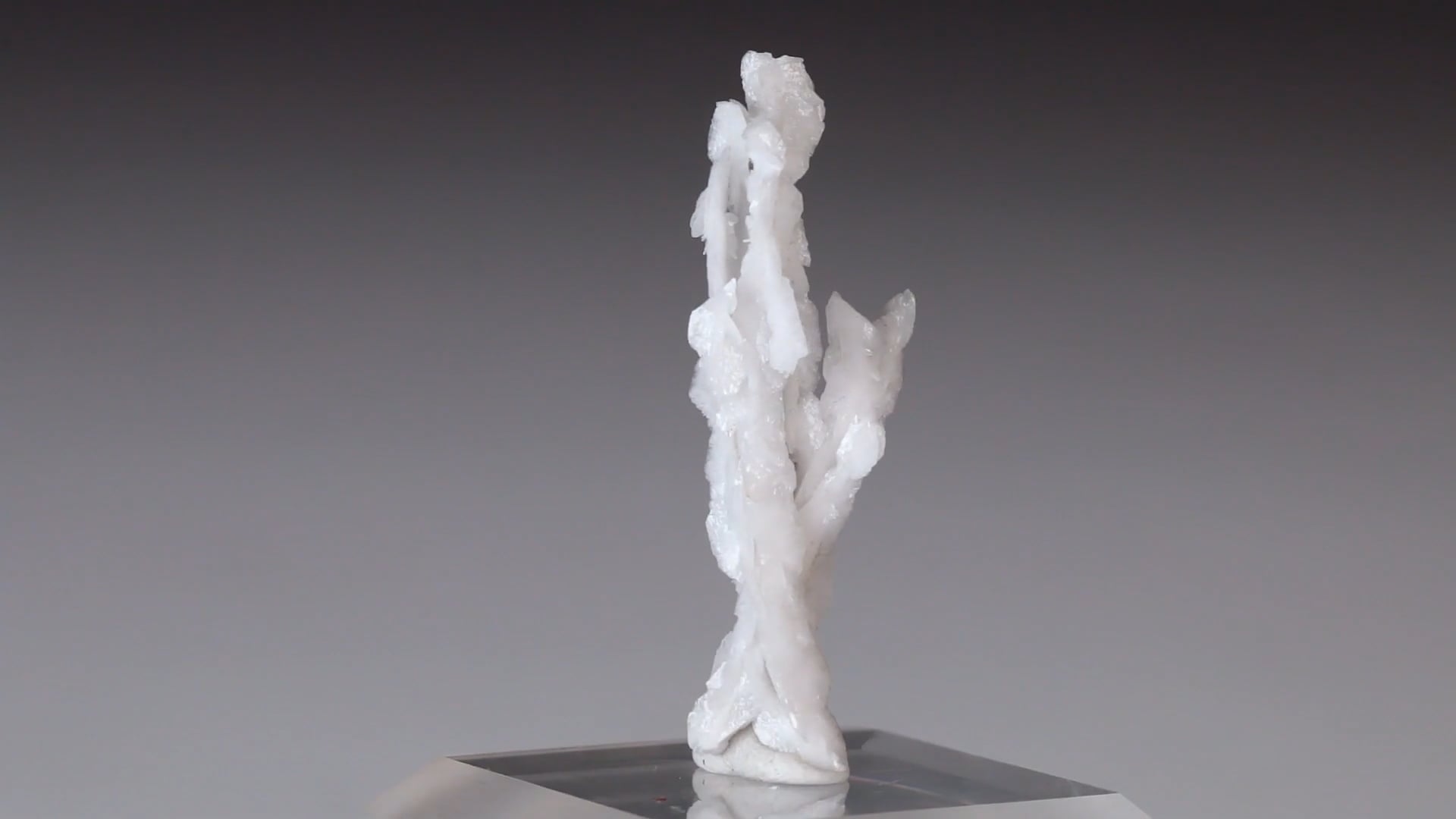 Vimeo Thumbnail