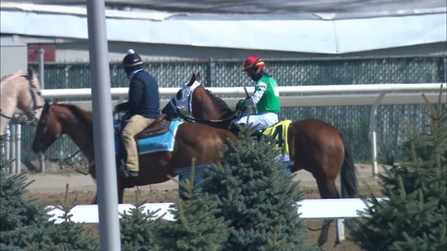 Mischevious Alex | Carter Handicap-G1 2021