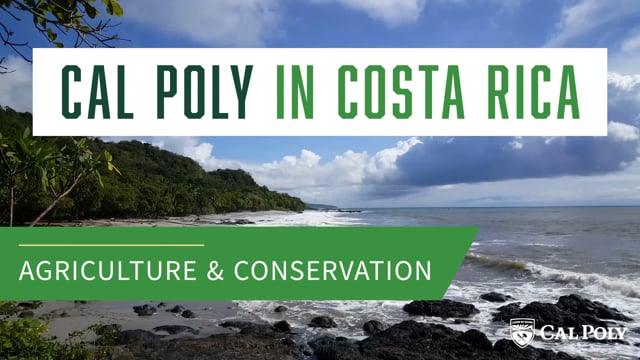 Cal Poly in Costa Rica: Agriculture & Conservation