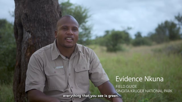 Video: Humble by Nature - the story of Evidence Nkuna | Singita