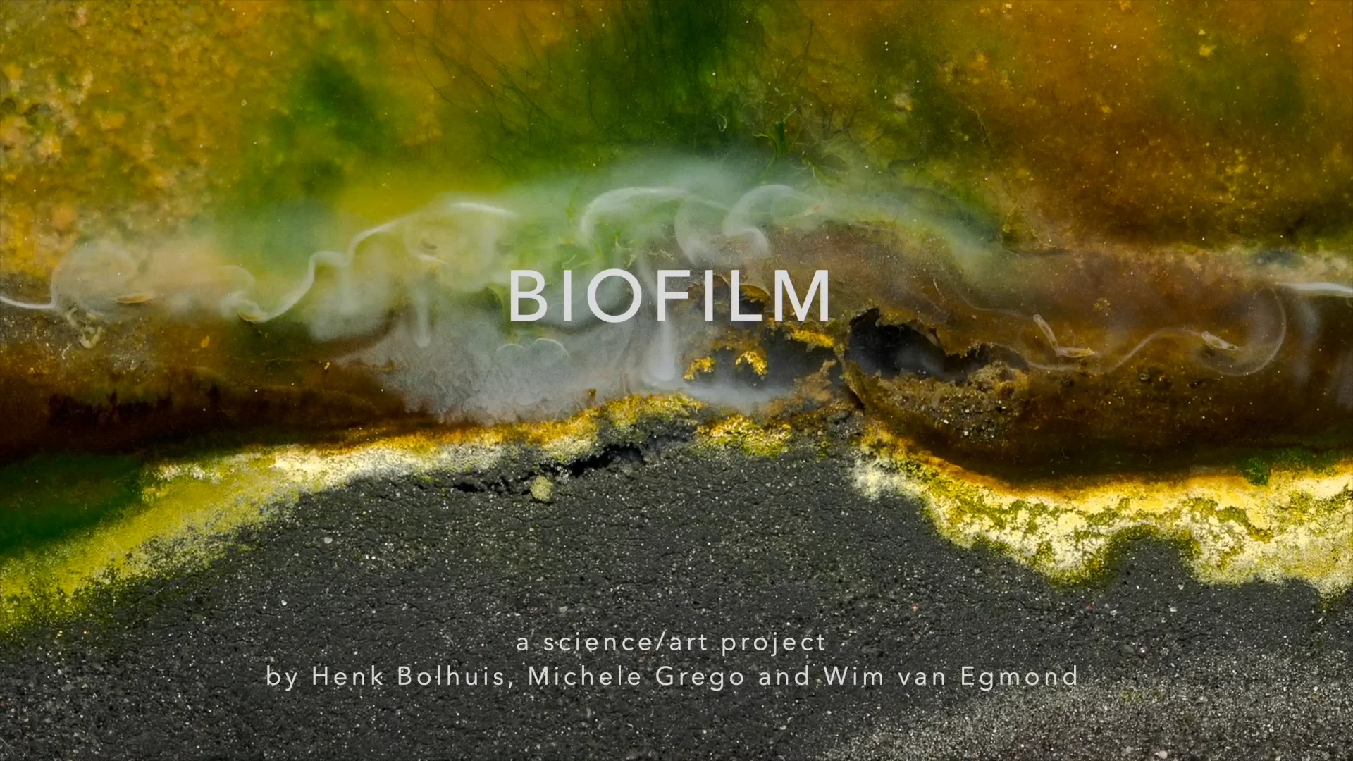 BIOFILM