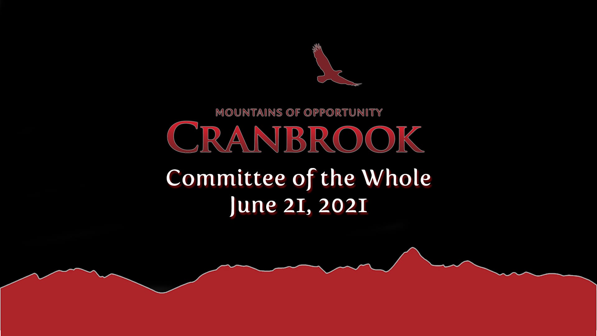 committee-of-the-whole-meeting-monday-june-21-2021-on-vimeo