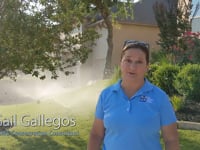 Three Ways to Prevent a High Summer Water Bill