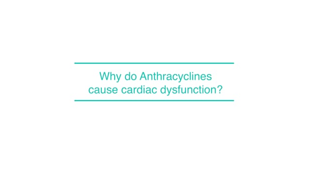 Why do Anthracyclines cause cardiac dysfunction?