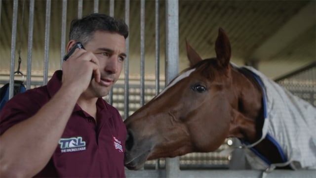 TRL | QLD Are You In | ONLINE 16x9