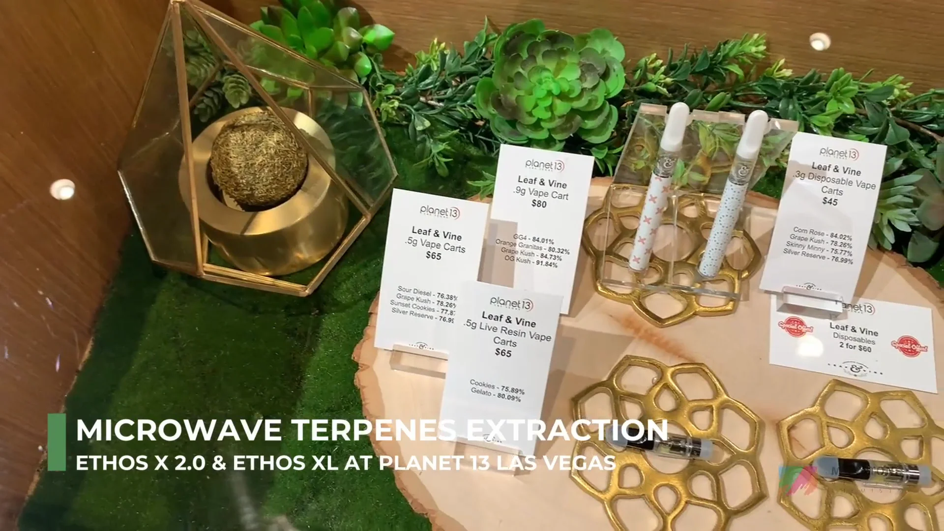 ETHOS X for high-quality terpenes extraction - Milestone - Helping