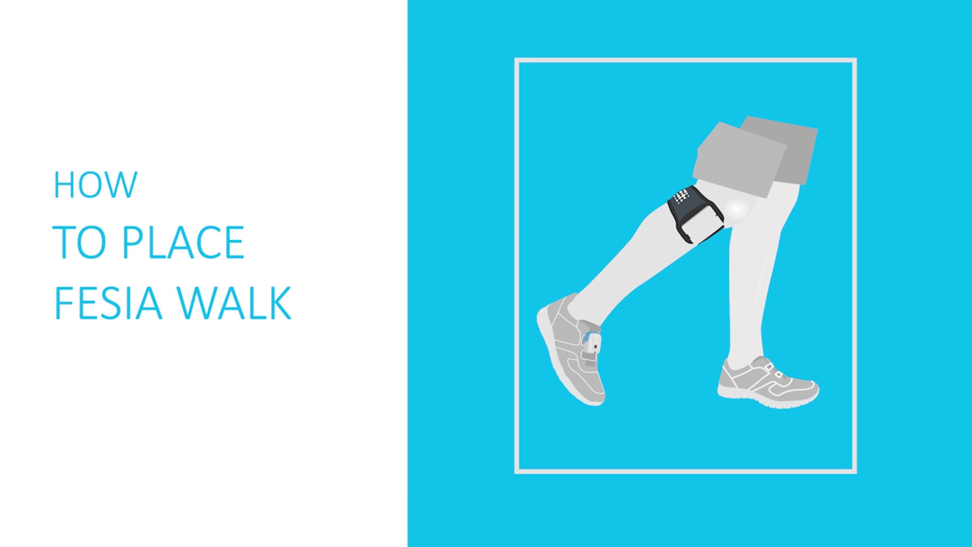 How to place Fesia Walk